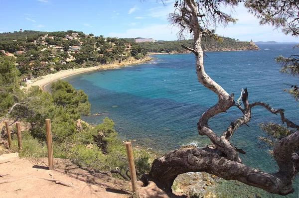 Playa Saint Mandrier Sur Mer Sur Francia —  Fotos de Stock