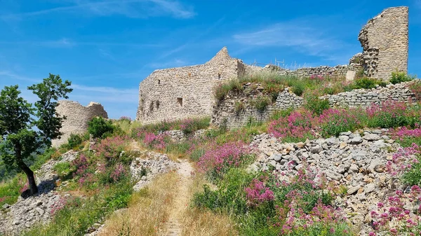 Château Ponteves Dans Sud France — Photo