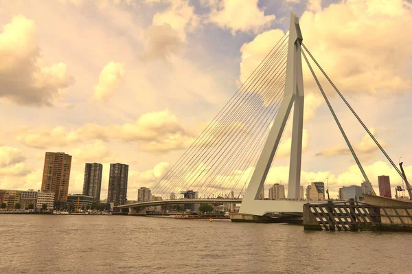 Rotterdam Hollanda Daki Erasmus Köprüsü — Stok fotoğraf