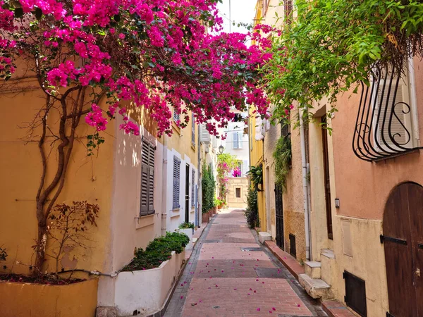 Steegje Oude Binnenstad Van Antibes Côte Azur — Stockfoto