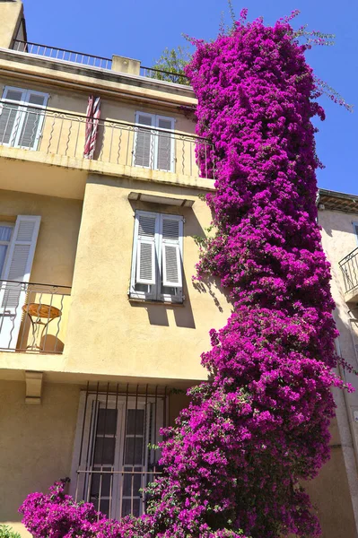 Cannes Eski Bir Kasaba Fransız Rivierası — Stok fotoğraf