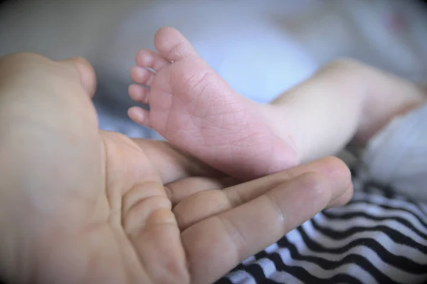 Vuxen Hand Med Babyfot — Stockfoto