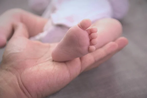 Bebek Ayağı Tutan Yetişkin Eller — Stok fotoğraf