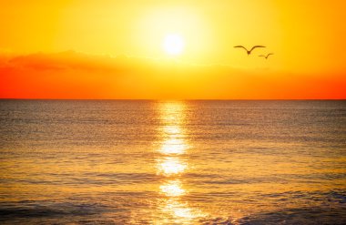 Denizin üzerinde gün batımı