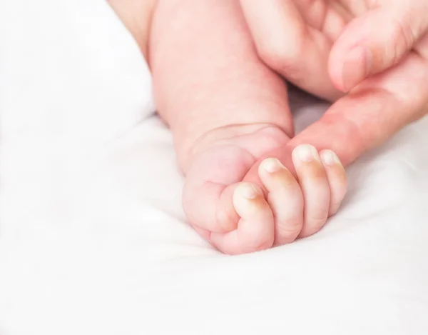 Dedo de bebé y madre — Foto de Stock