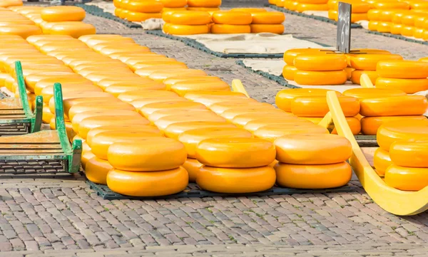 Kaasmarkt in alkmaar, Nederland — Stockfoto