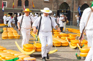 Alkmaar ünlü Hollandalı peynir pazarında birçok peynir ile yürüyüş taşıyıcıları