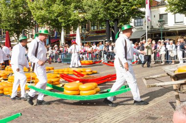 Alkmaar ünlü Hollandalı peynir pazarında birçok peynir ile yürüyüş taşıyıcıları