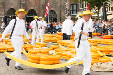 ünlü Hollandalı peynir piyasada birçok peynir ile yürüyüş taşıyıcıları