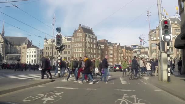 人、バイク、シティ センター、アムステルダムの周りの車 — ストック動画