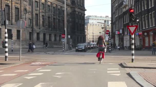 アムステルダム、オランダの運河の上を歩く人 — ストック動画
