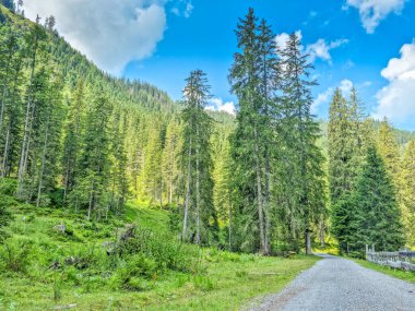 Avusturya 'nın Zauchensee dağlarındaki manzara