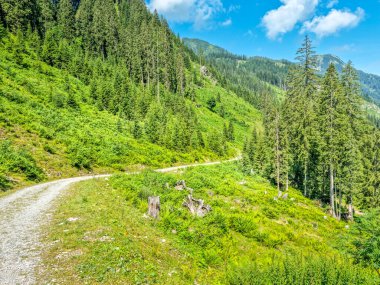 Avusturya 'nın Zauchensee dağlarındaki manzara