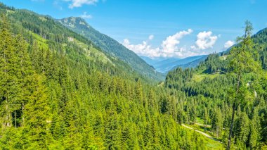 Avusturya 'nın Zauchensee dağlarındaki manzara