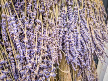 Bir grup lavanta çiçeği buketi.