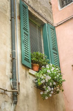 Çiçekli klasik İtalyan penceresi