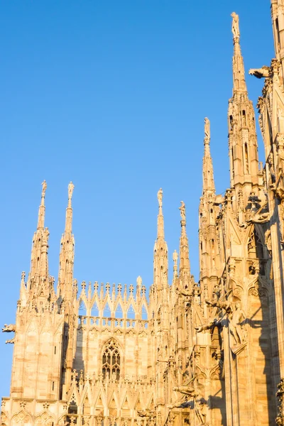 밀라노, 이탈리아에서 두오모 — стокове фото