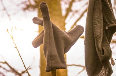 Kara Ada, Munlochy, İskoçya 'da Kelt kuyusu.