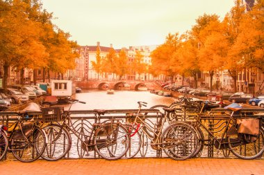 Amsterdam kanal ve Bisiklet