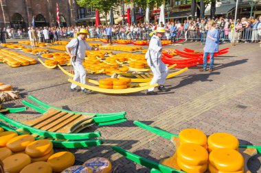 Ünlü Alkmaar piyasada birçok peynir ile yürüyüş taşıyıcıları Hollanda