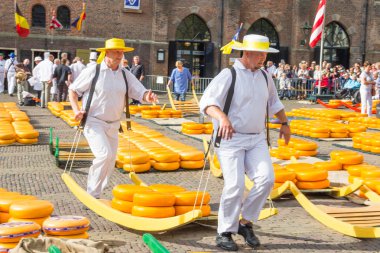 Ünlü Alkmaar piyasada birçok peynir ile yürüyüş taşıyıcıları Hollanda