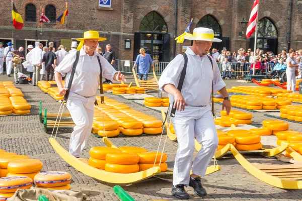 Przewoźników chodzenie z wielu serów w słynnego targu Alkmaar, Holandia — Zdjęcie stockowe