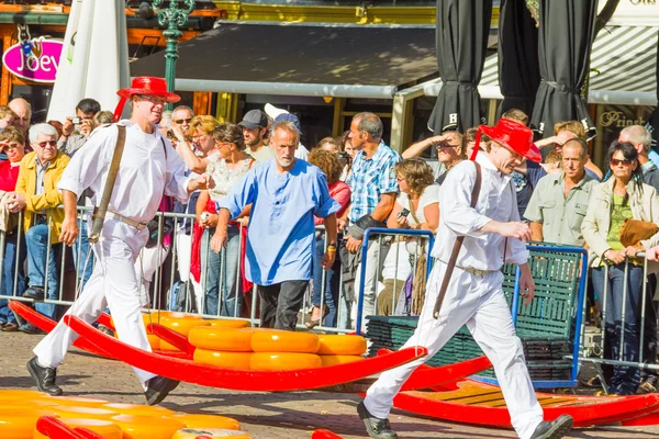 Träger mit vielen Käsesorten auf dem berühmten Markt von Alkmaar — Stockfoto