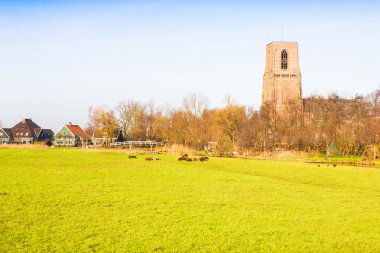 Ransdorp, Hollanda kırsal manzara