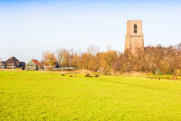 Paisaje rural en Ransdorp, Países Bajos — Foto de Stock