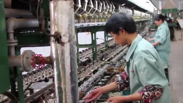 Рабочие готовят коконы для использования шелкового материала в текстильном производстве, Шанхай, Китай — стоковое видео