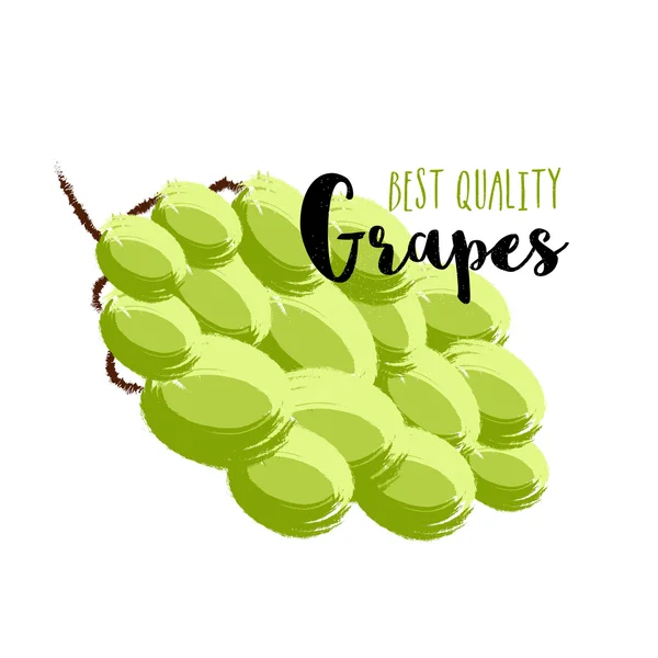 Concepto de uvas de mejor calidad para alimentos . — Vector de stock