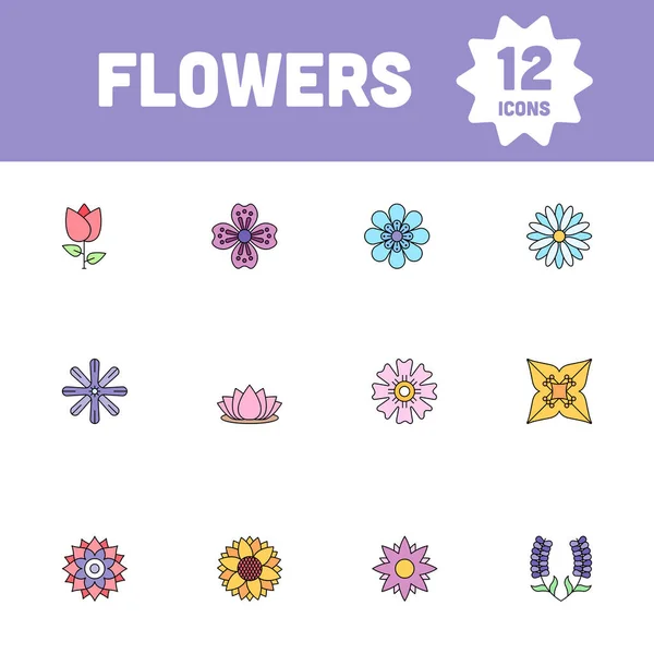 Set Iconos Flores Coloridas Sobre Fondo Blanco — Archivo Imágenes Vectoriales