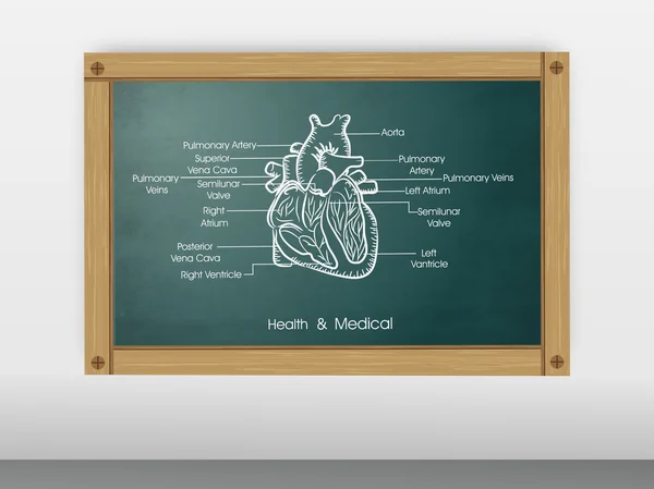 Santé et concept médical avec structure cardiaque . — Image vectorielle