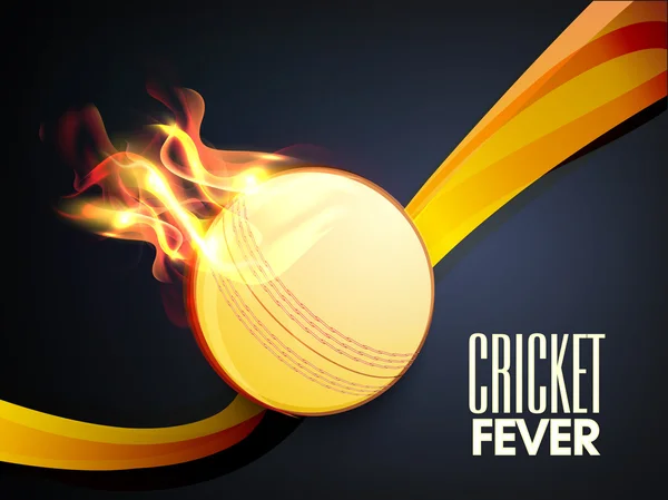 Cricket Fever concept with ball in fire flame. — Stock Vector