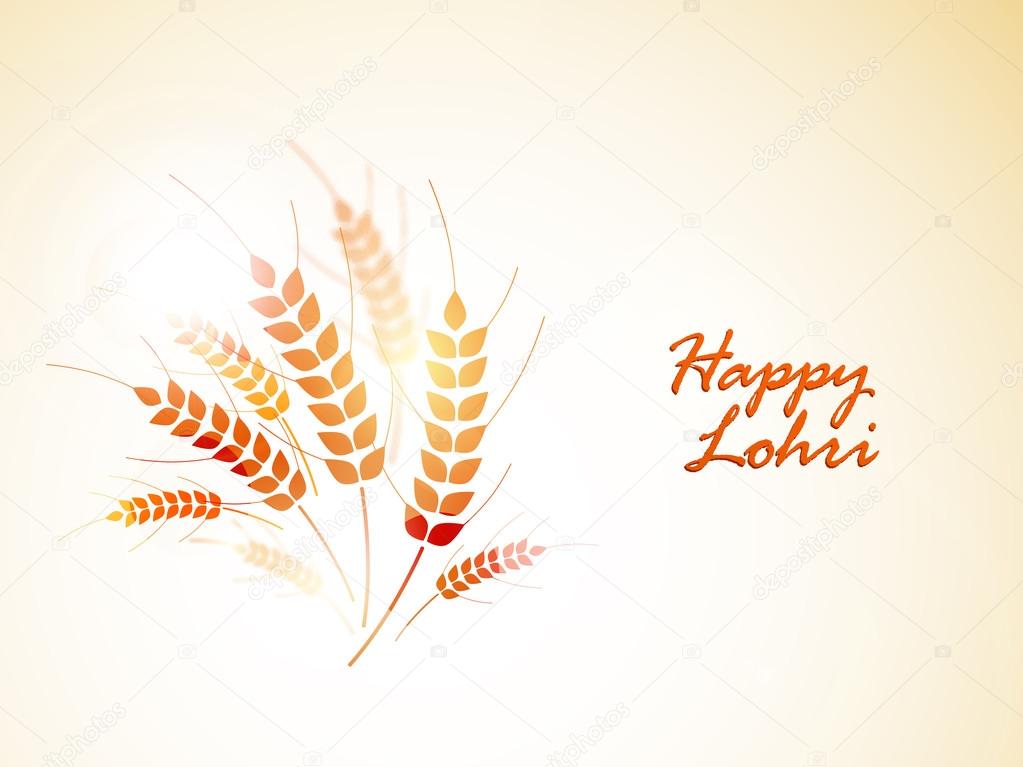 Punjabi festival, Happy Lohri celebration with wheat grain.