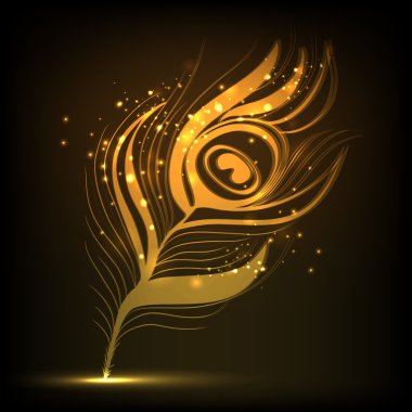 Şık parlak tavus kuşu tüyü.