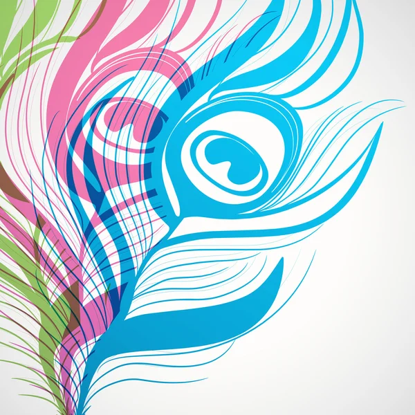 Stijlvolle peacock feather ontwerp. — Stockvector