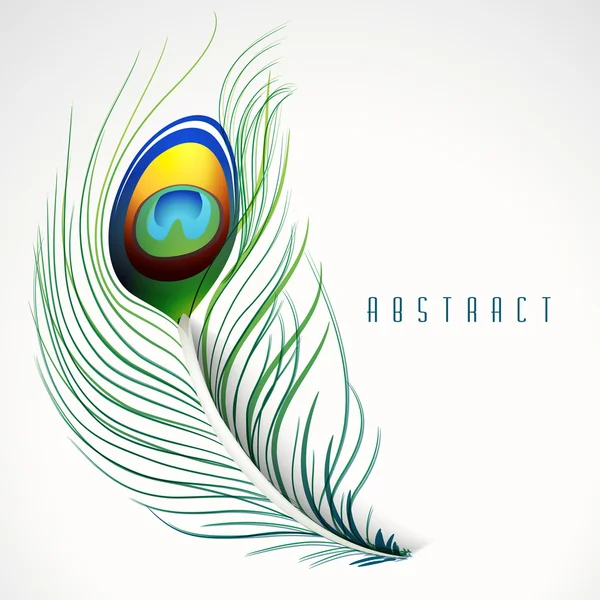 Peacock feather creativiteit. — Stockvector