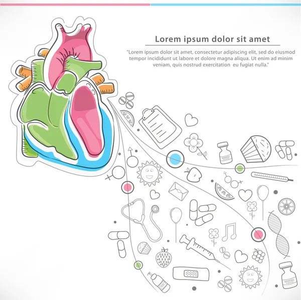 Menselijk hart voor gezondheid en geneeskunde concept. — Stockvector