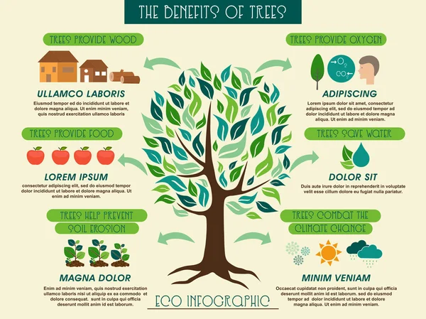 Eco infographic แสดงประโยชน์ของต้นไม้ . — ภาพเวกเตอร์สต็อก