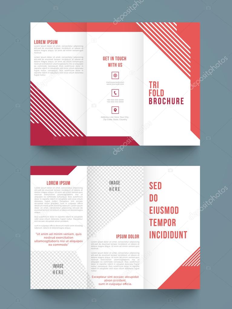 Stylish Trifold or Template design.