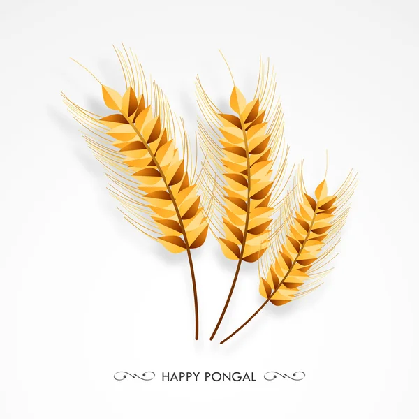 Wheat Ears for Happy Pongal celebration. — Stock vektor