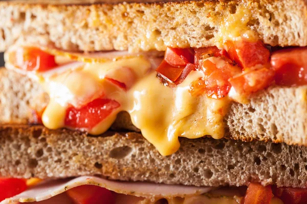 Grilled cheese sandwich with ham and tomato — Stock Photo, Image