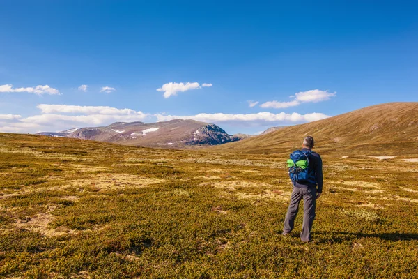 Excursionista con mochila viajando en Noruega montañas Dovrefjell — Foto de Stock