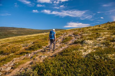 uzun yürüyüşe çıkan kimse Dovre Norveç dağlarında seyahat sırt çantası ile
