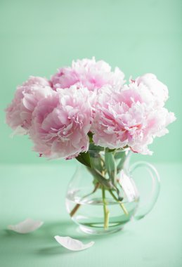 Vazoda güzel pembe şakayık çiçekleri.