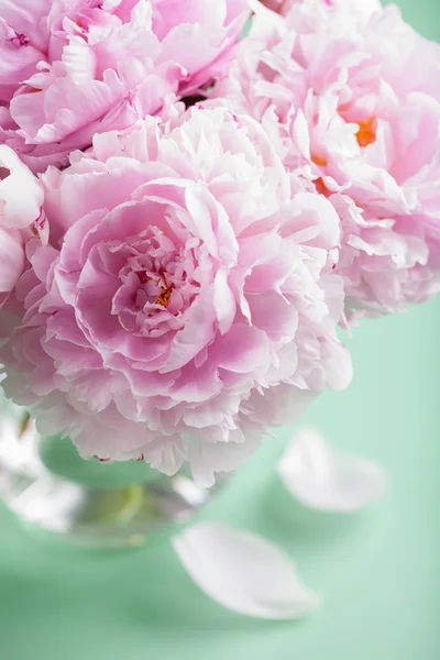 Beautiful pink peony flowers bouquet in vase — Stock Photo, Image