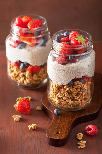 Homemade granola and chia seed pudding with berry healthy breakf — Stock Photo, Image