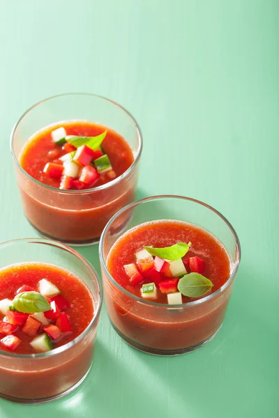 Studené gazpacho rajská polévka v brýlích — Stock fotografie