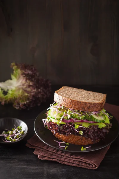 Avocado komkommer sandwich met ui en radijs spruiten — Stockfoto